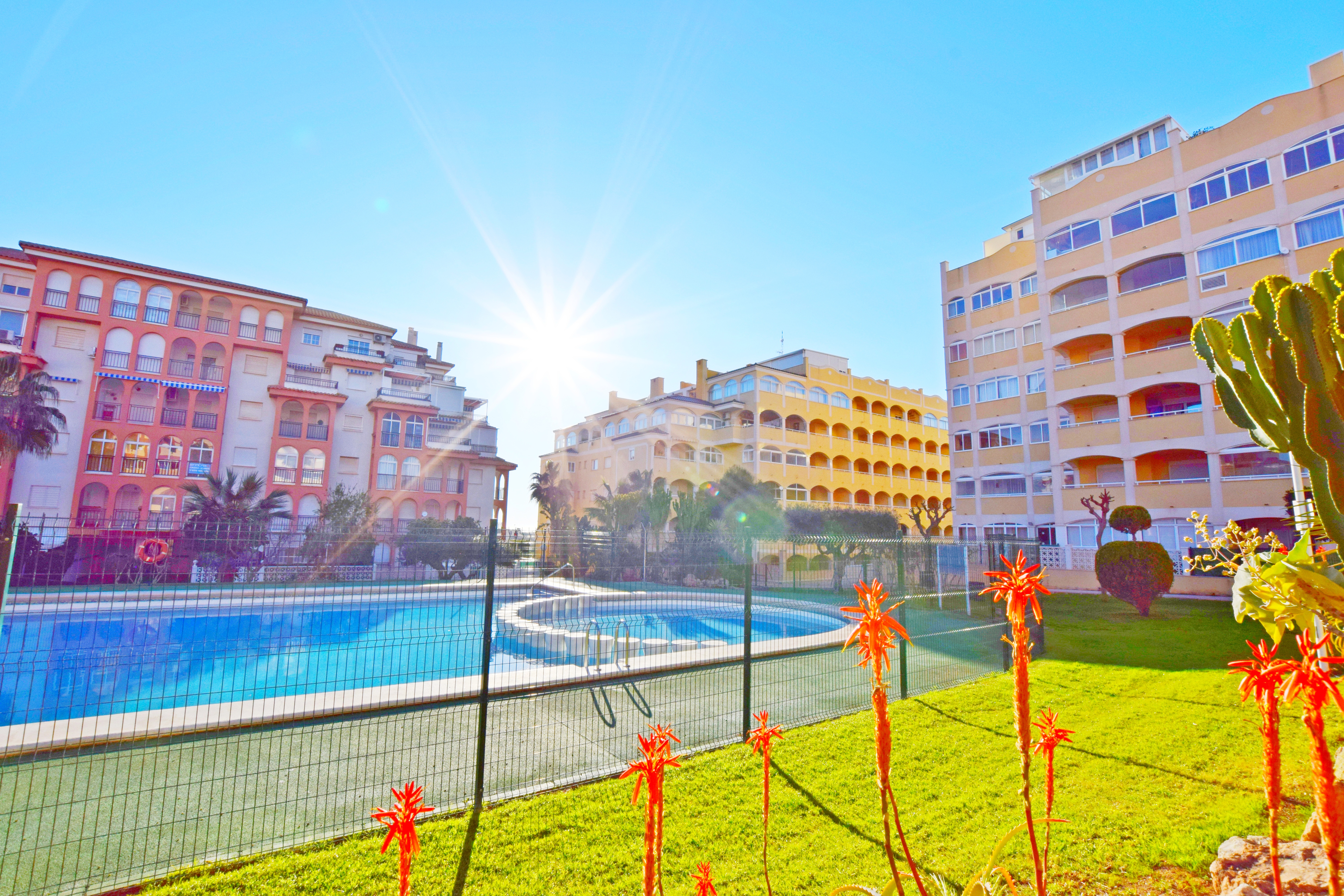 Cosy and bright apartment for sale in Torrevieja