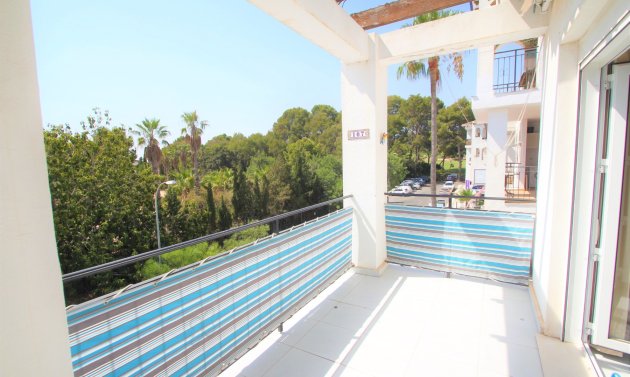 Apartamento - Alquiler a largo plazo - Villamartín -
                Villamartin