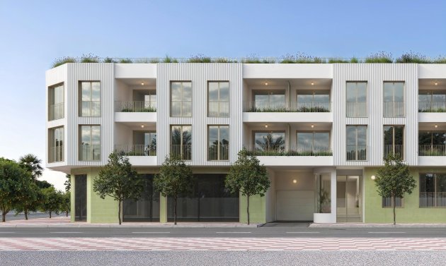 Apartamento - Obra nueva - Jacarilla -
                pueblo