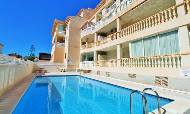 Apartamento - Reventa - Playa Flamenca -
                Playa Flamenca