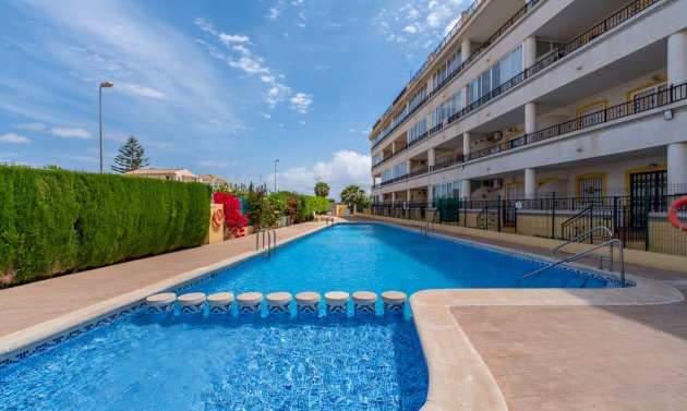 Apartamento - Reventa - Playa Flamenca -
                Playa Flamenca