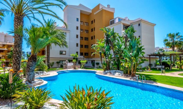 Apartamento - Reventa - Punta Prima -
                Punta Prima