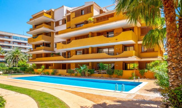 Apartamento - Reventa - Punta Prima -
                Punta Prima