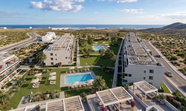 Apartment - New Build - Vera -
                Vera Playa