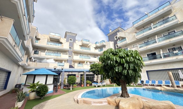 Apartment - Resale - Cabo Roig -
                Cabo Roig