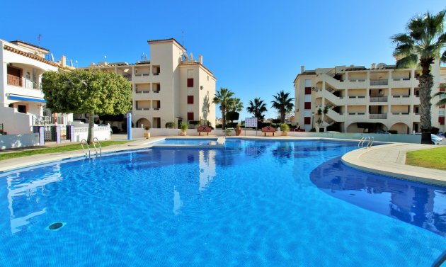 Apartment - Resale - Playa Flamenca -
                Playa Flamenca