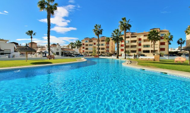 Apartment - Resale - Playa Flamenca - Playa Flamenca