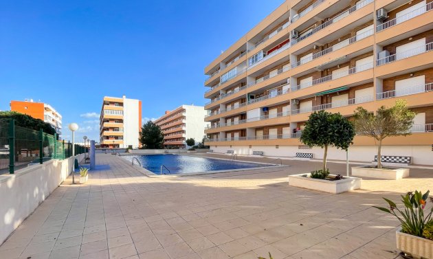 Apartment - Resale - Punta Prima - Punta Prima