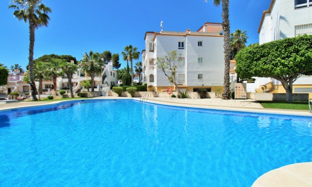 Apartment - Resale - Villamartín -
                Las Violetas