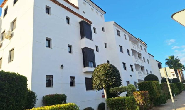 Apartment - Resale - Villamartín -
                Villamartin