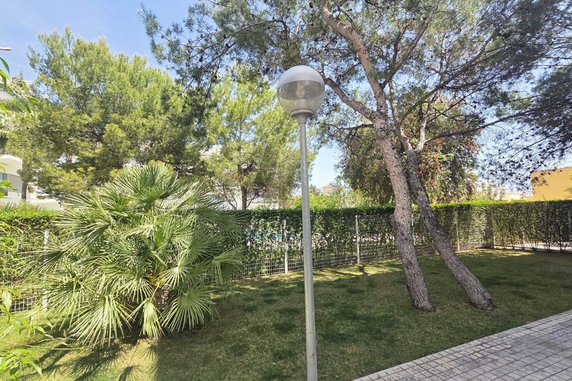 Återförsäljning - Lägenhet -
Villamartín - Los Dolses
