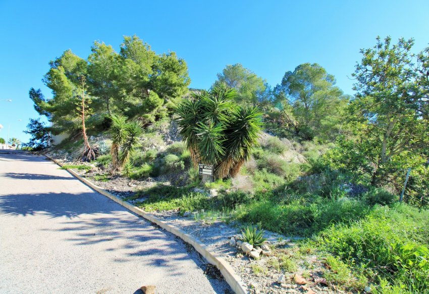 Återförsäljning - Plot -
San Miguel de Salinas