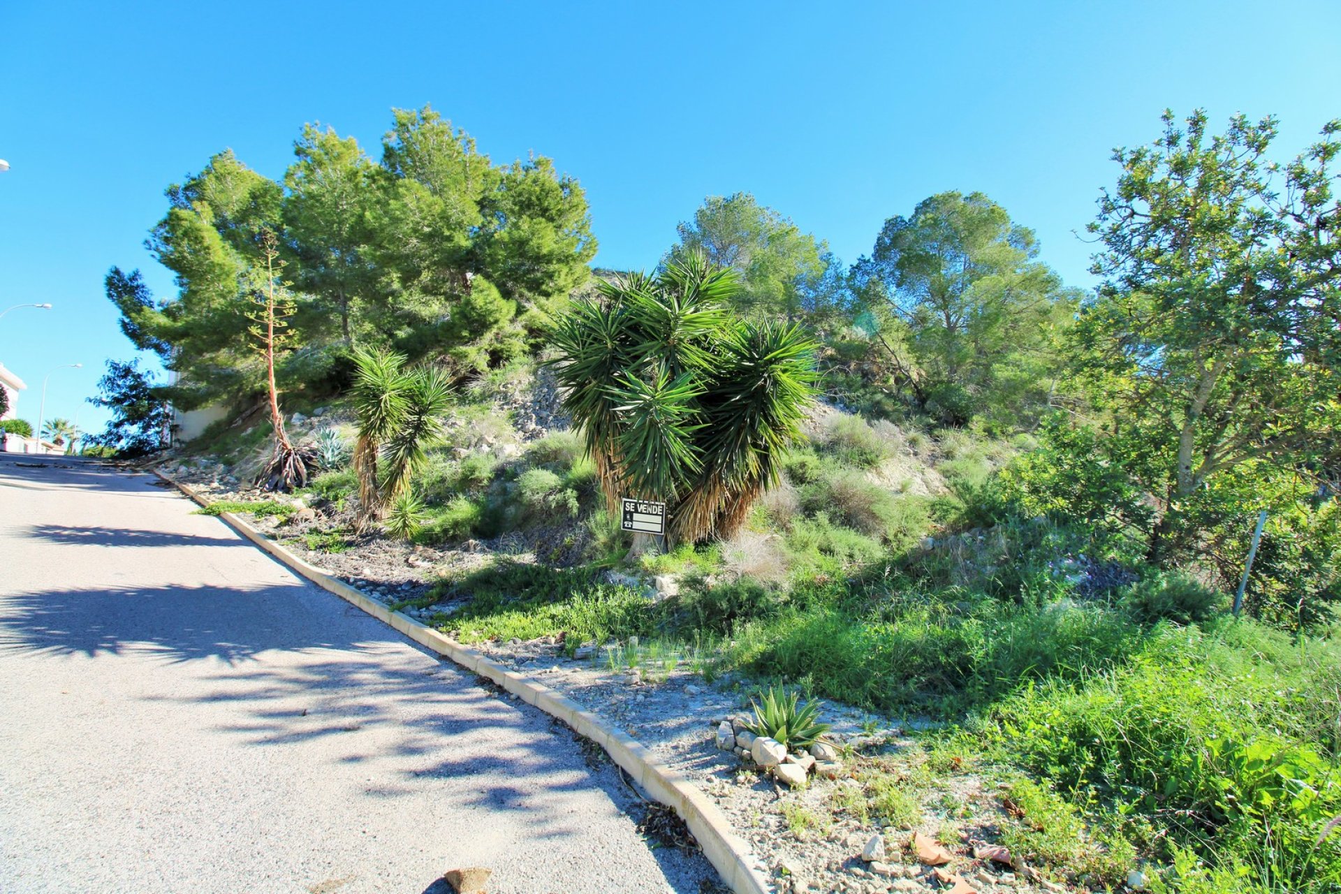 Återförsäljning - Plot -
San Miguel de Salinas