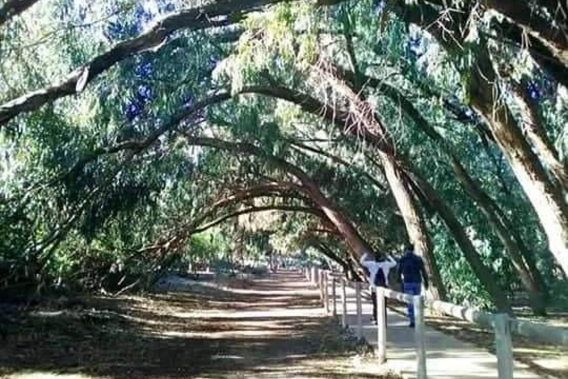 Neue Gebäude - Bungalow -
Torrevieja - Altos del Sol