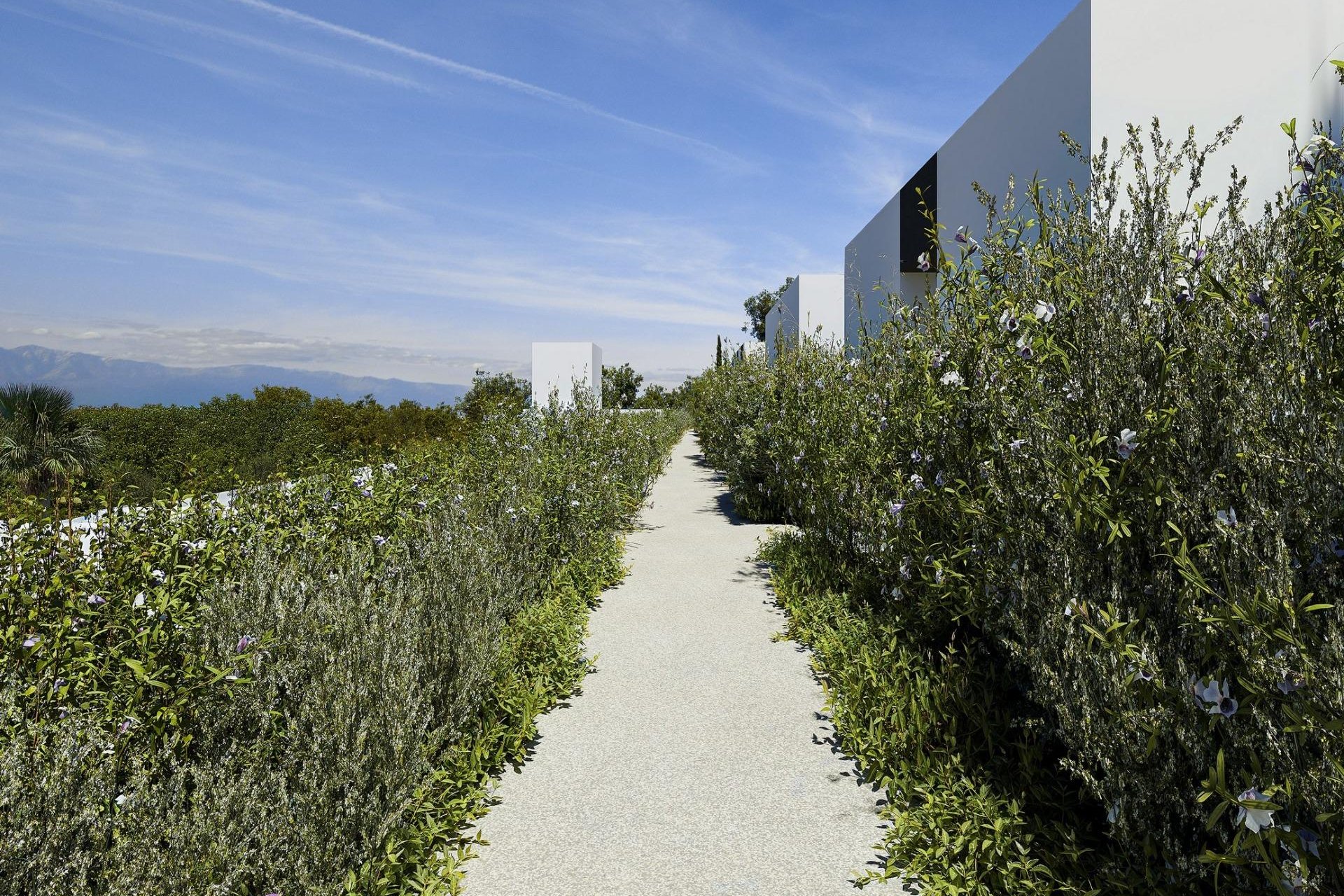 Neue Gebäude - Villa -
Alfas del Pí - Barranc Fondo