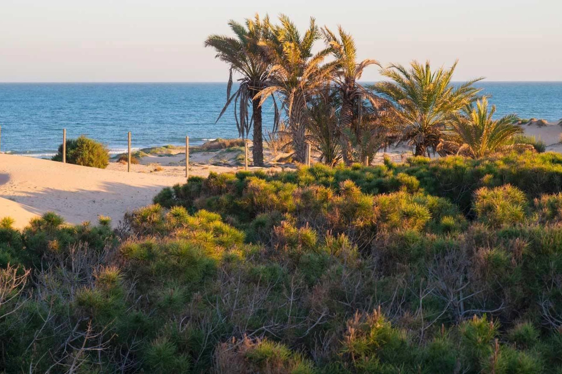 Neue Gebäude - Wohnung -
Guardamar del Segura - Avda del Puerto