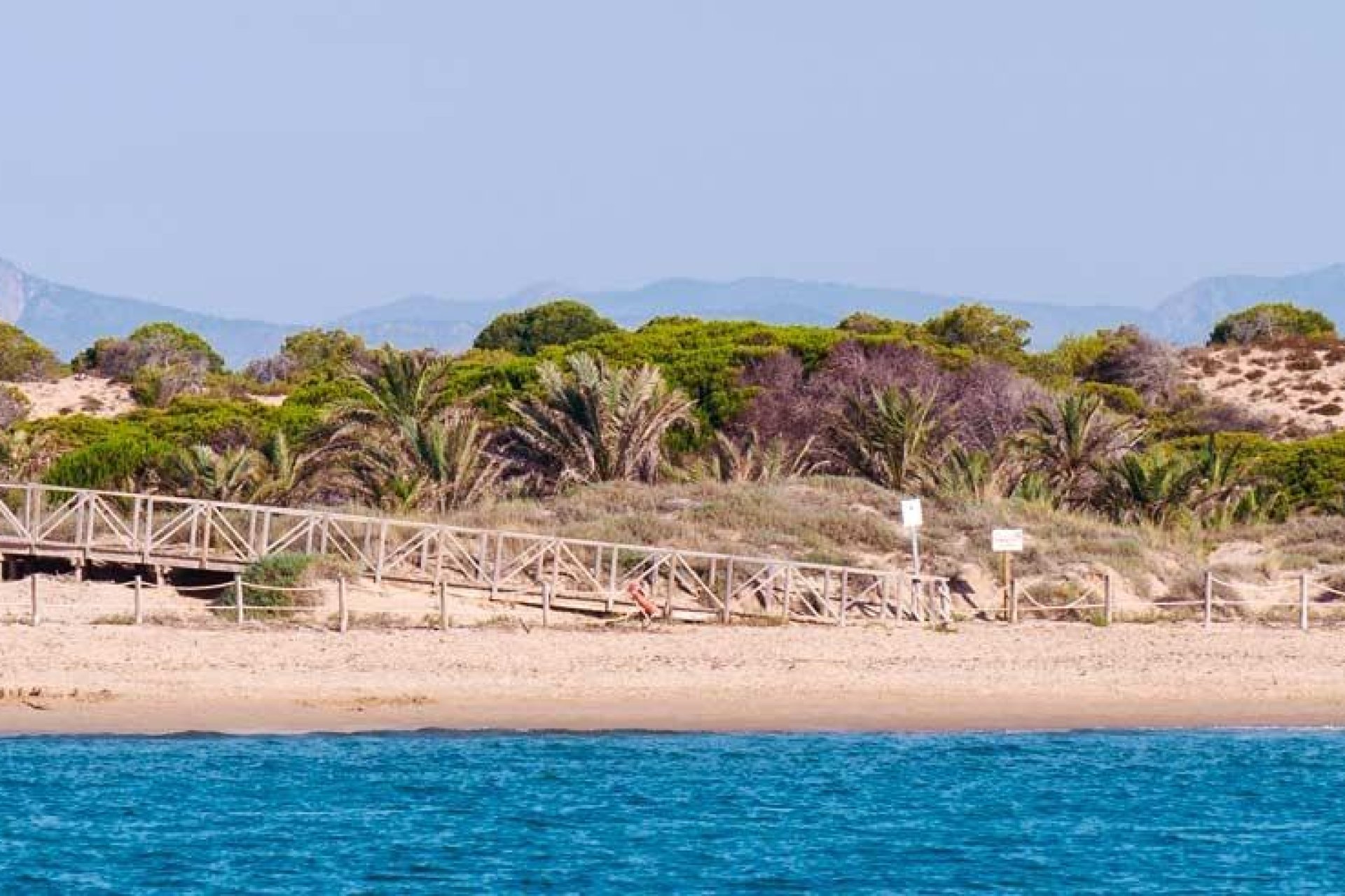 Neue Gebäude - Wohnung -
Guardamar del Segura - Pueblo