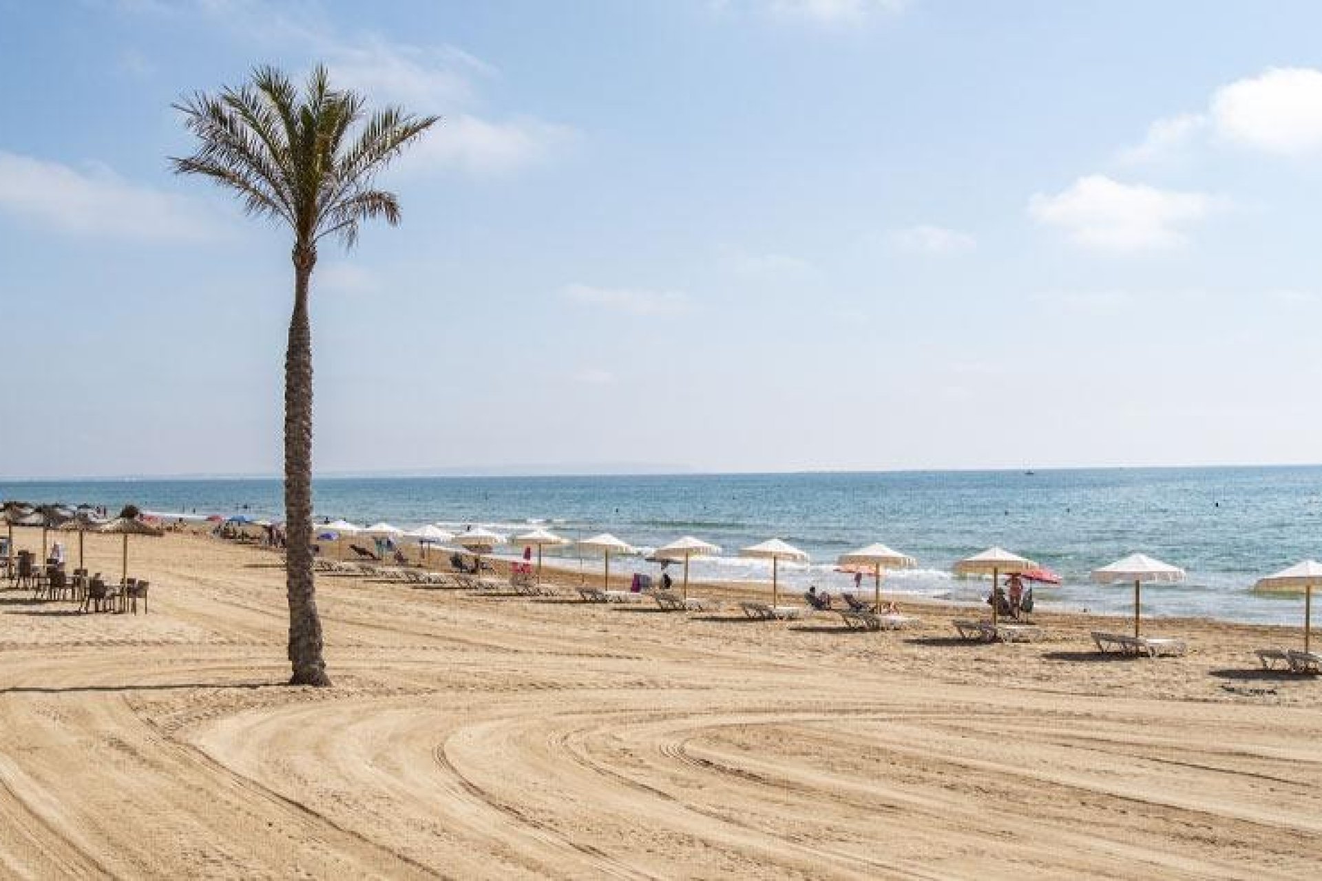 Neue Gebäude - Wohnung -
Guardamar del Segura - Pueblo