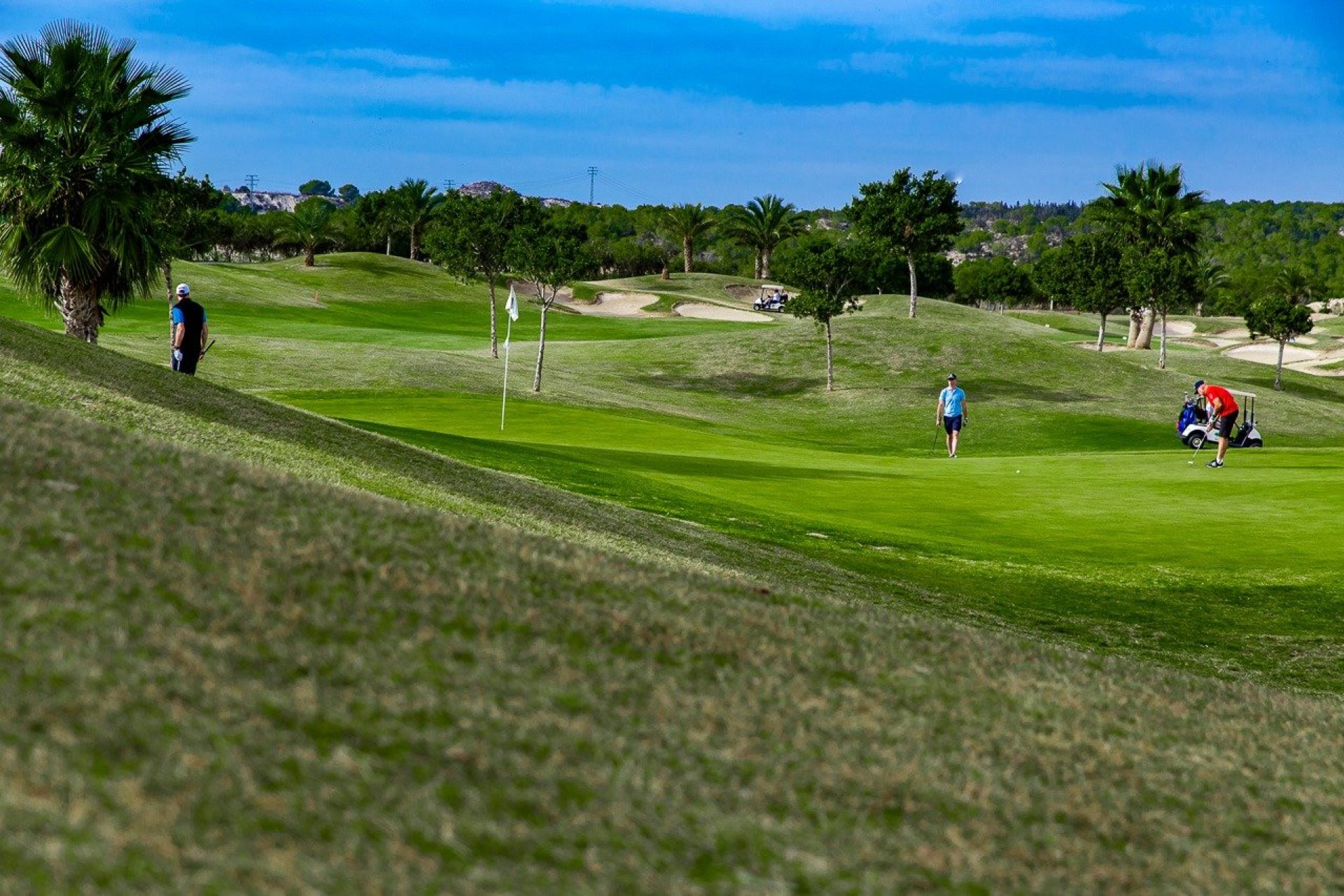 New Build - Bungalow -
Orihuela Costa - Vistabella Golf
