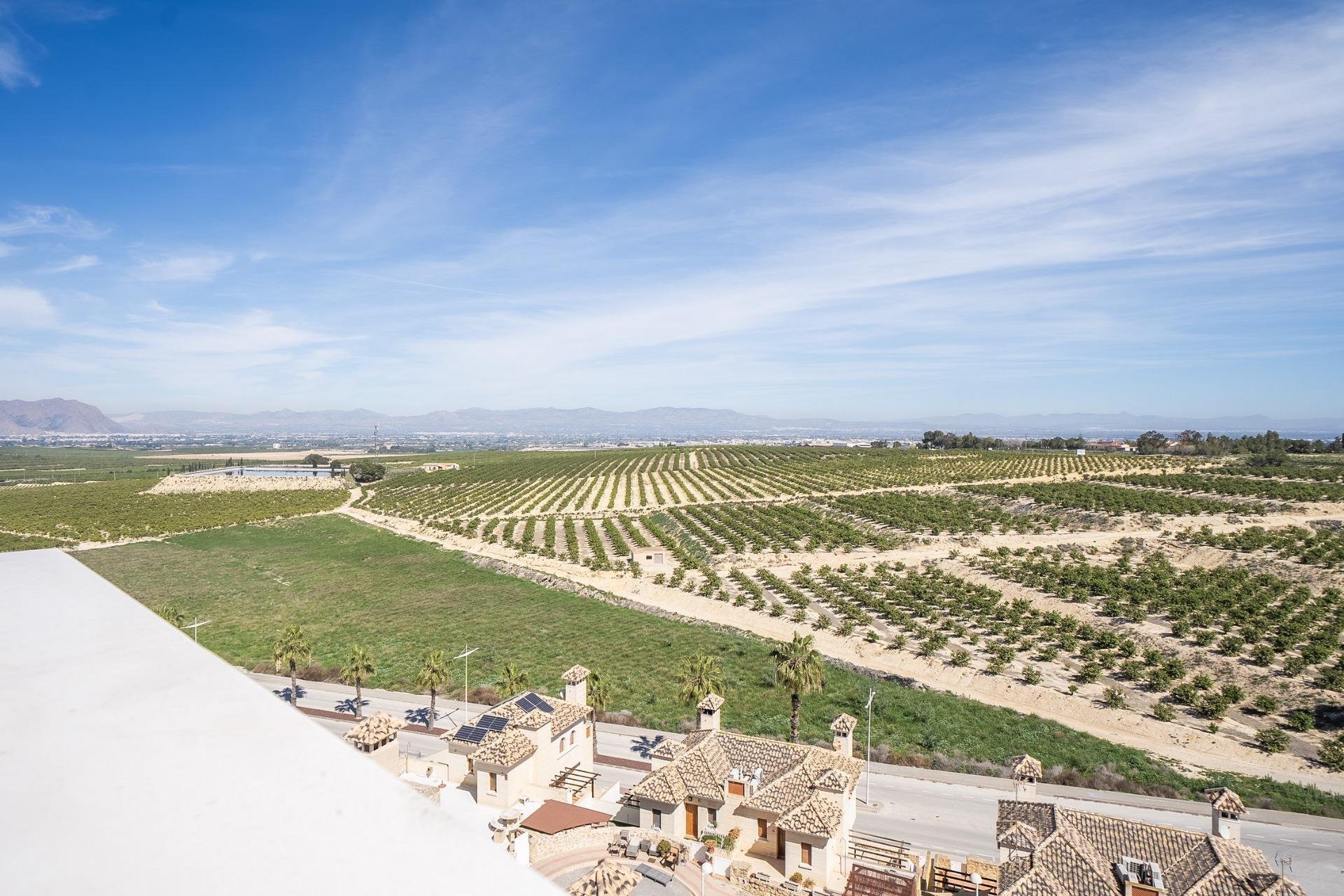 New Build - Townhouse -
Algorfa - La Finca Golf