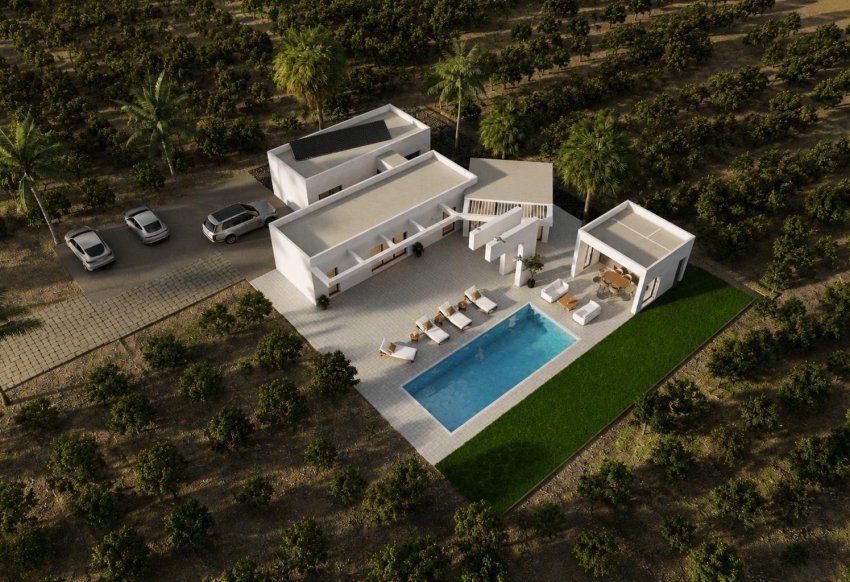 New Build - Villa -
Benejúzar - alta