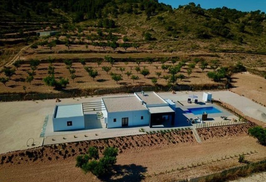 New Build - Villa -
Hondón de las Nieves - La Canalosa