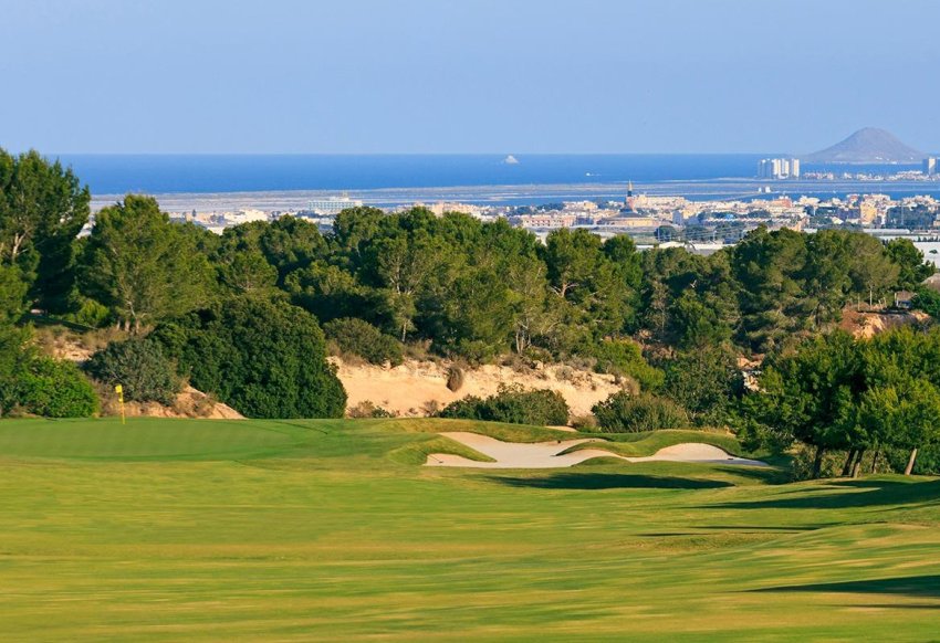 New Build - Villa -
Pilar de la Horadada - Lo Romero Golf