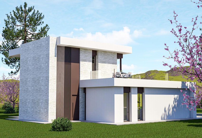 New Build - Villa -
Pinoso - Lel