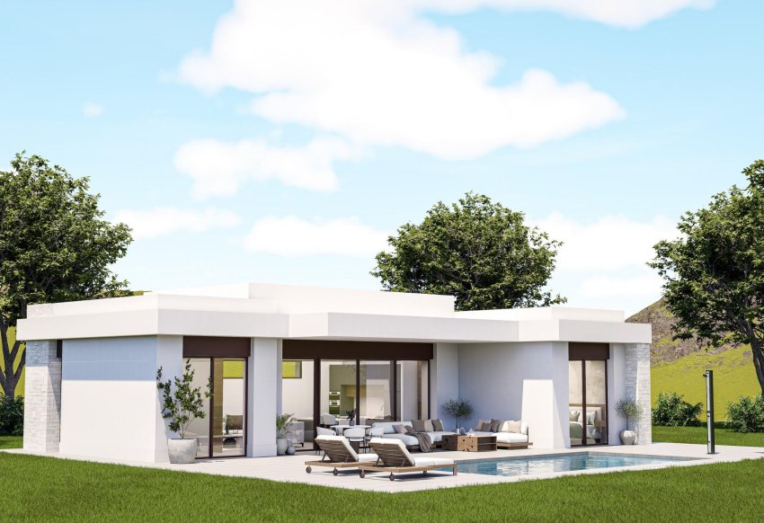 New Build - Villa -
Pinoso - Lel