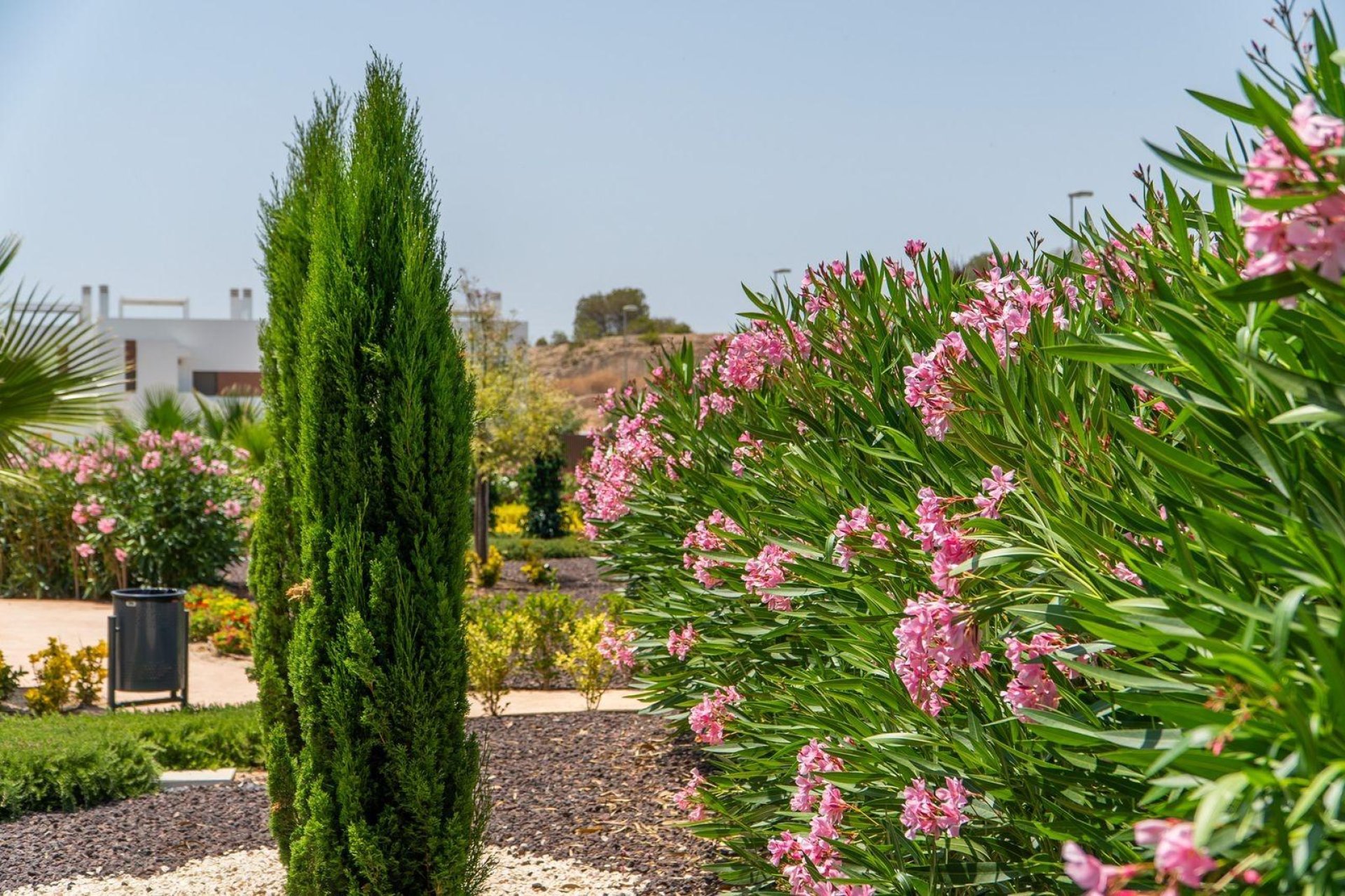 Nybyggnation - Bungalow -
Orihuela Costa - Vistabella Golf