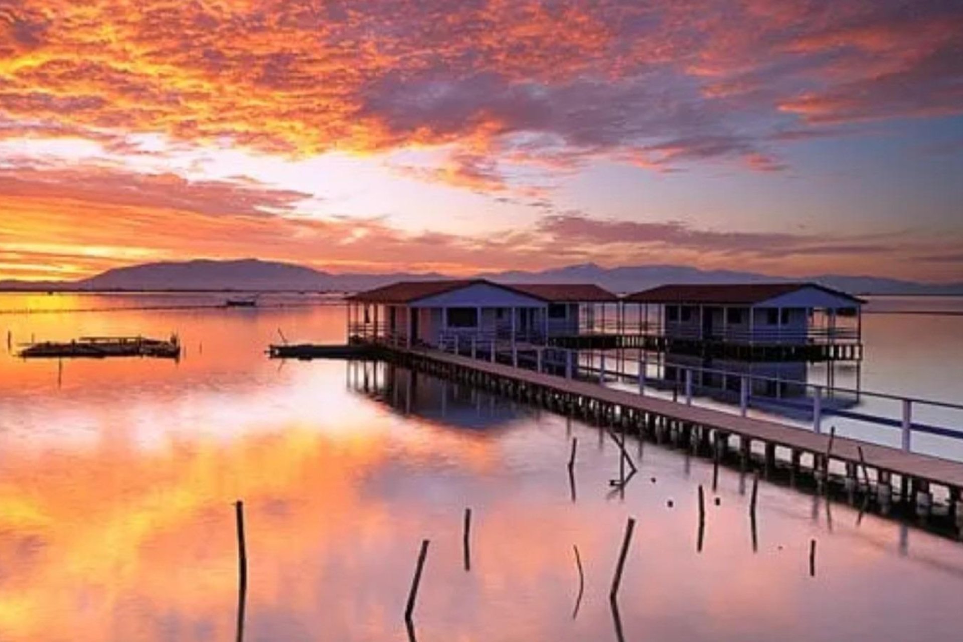 Nybyggnation - Bungalow -
San Pedro del Pinatar - Los Pinos