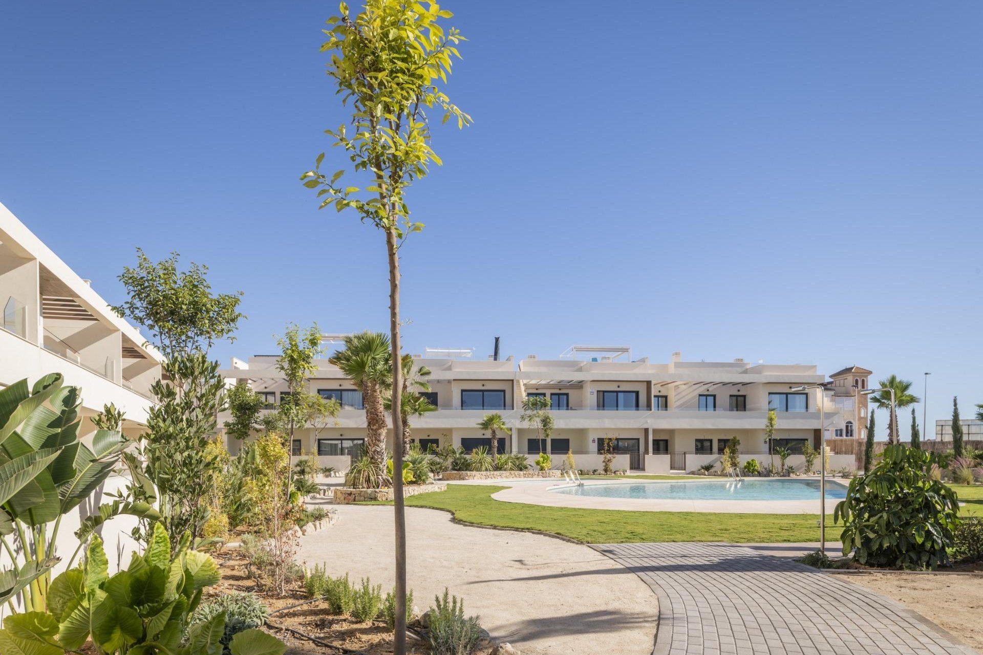 Nybyggnation - Bungalow -
Torrevieja - La Veleta