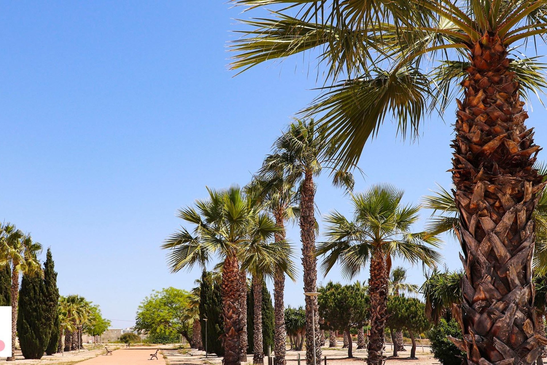 Nybyggnation - Detached Villa -
San Fulgencio - La Escuera