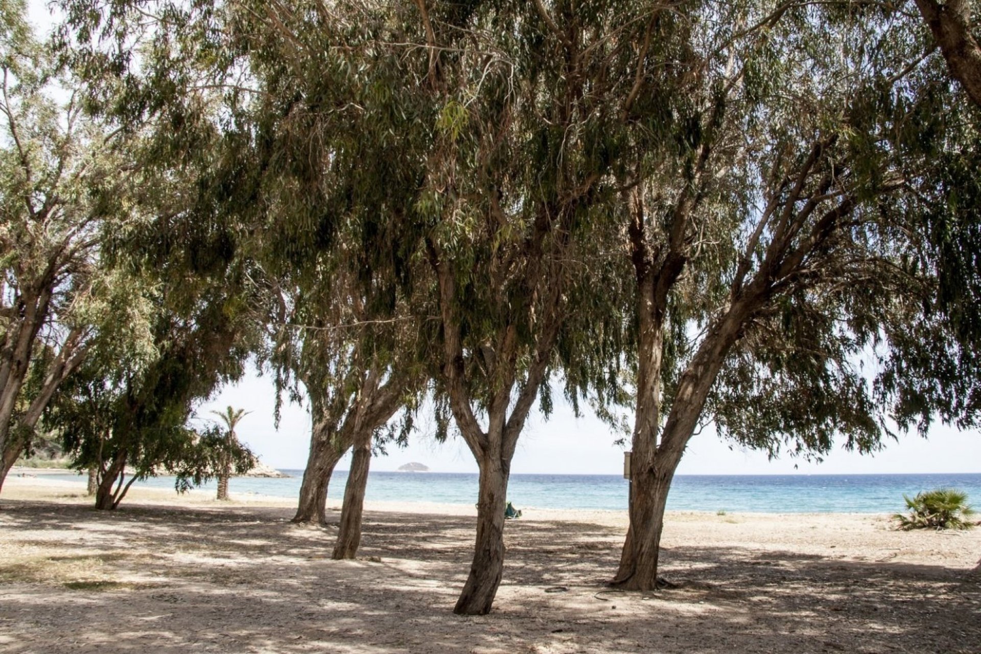 Nybyggnation - Lägenhet -
Villajoyosa - Playa Les Torres