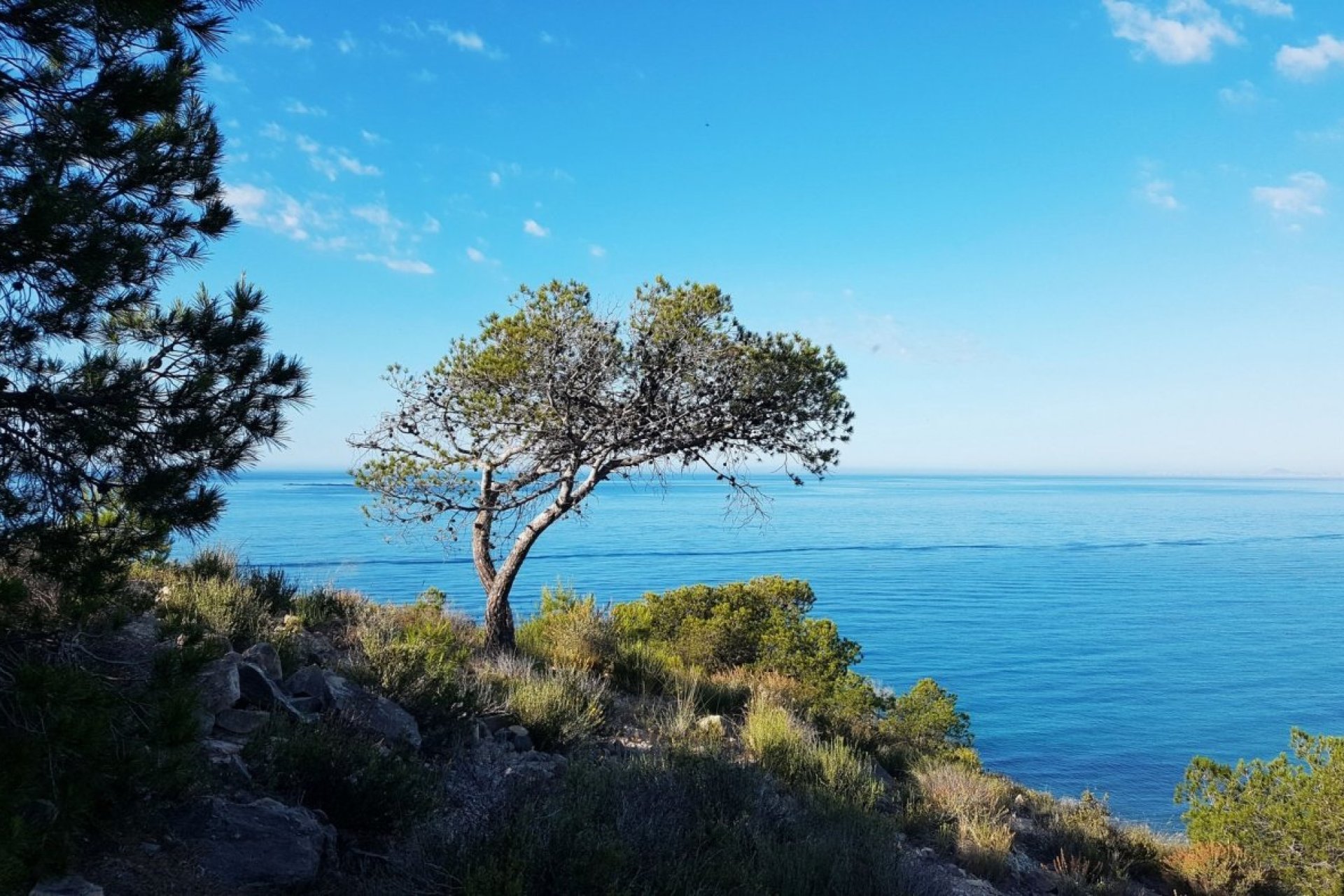 Nybyggnation - Lägenhet -
Villajoyosa - Playa Les Torres
