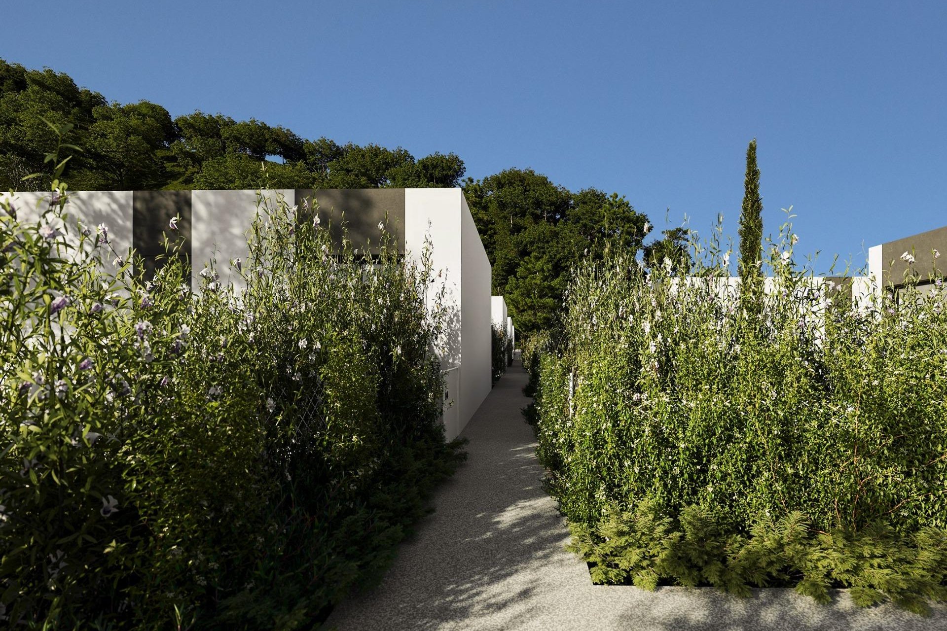 Nybyggnation - Villa -
Alfas del Pí - Barranc Fondo