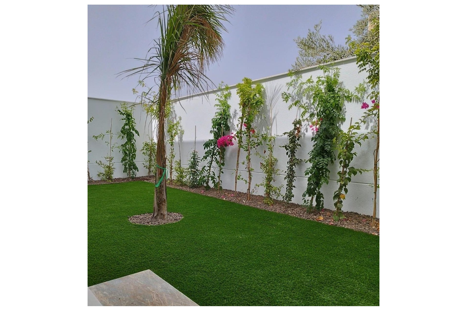 Obra nueva - Adosado -
San Javier - Parque del doce