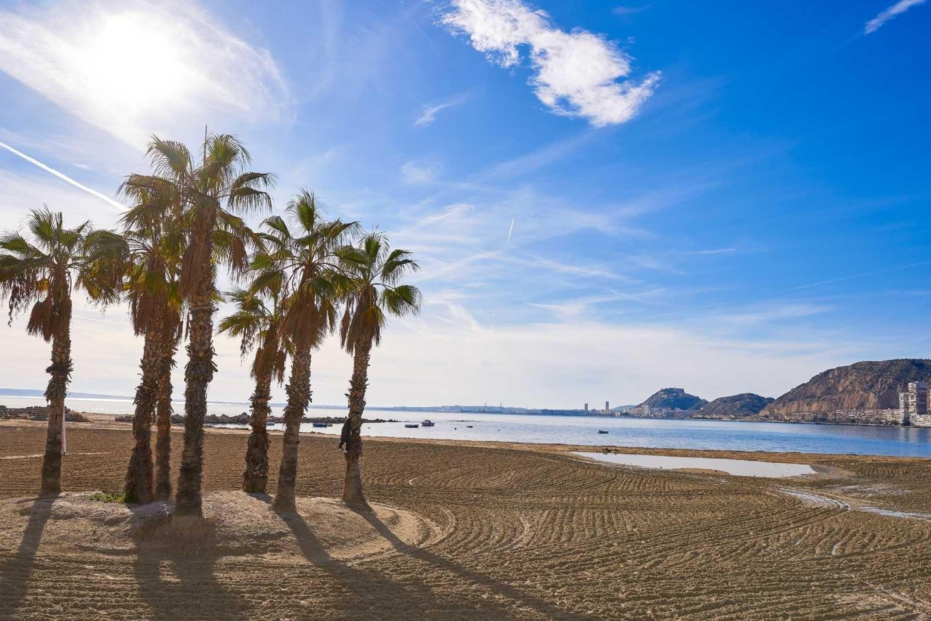 Obra nueva - Detached Villa -
Els Poblets - Partida Barranquets