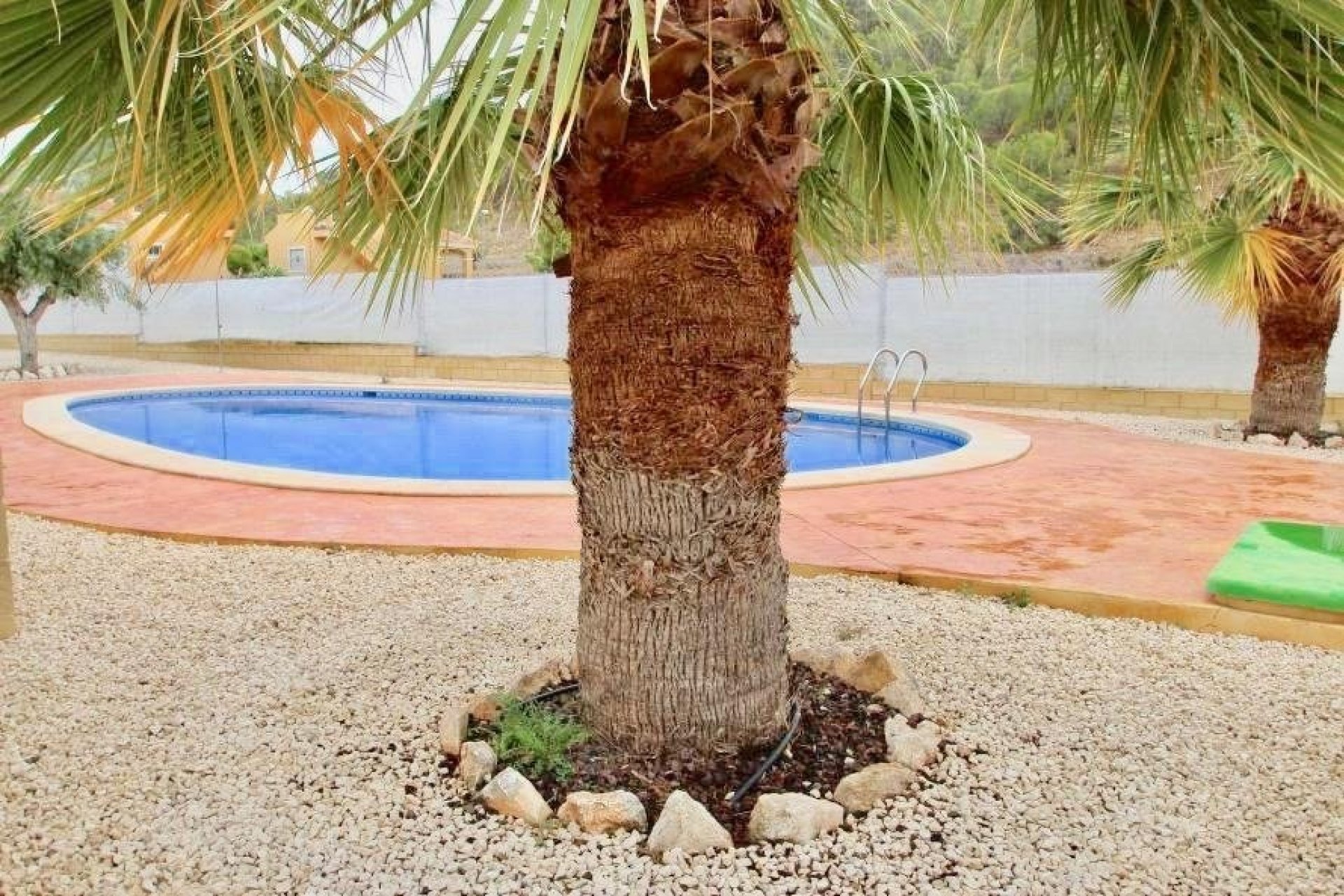 Obra nueva - Detached Villa -
La Romana - Villas de la Romana