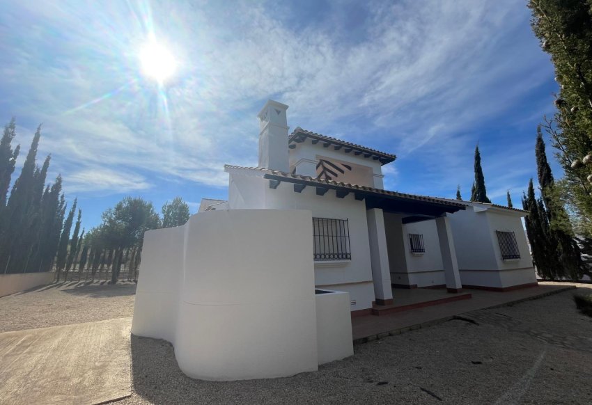 Obra nueva - Villa -
Fuente Alamo - Las Palas