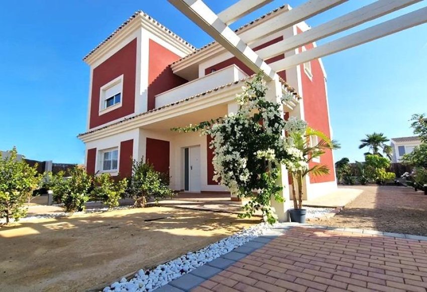 Obra nueva - Villa -
Lorca - Purias