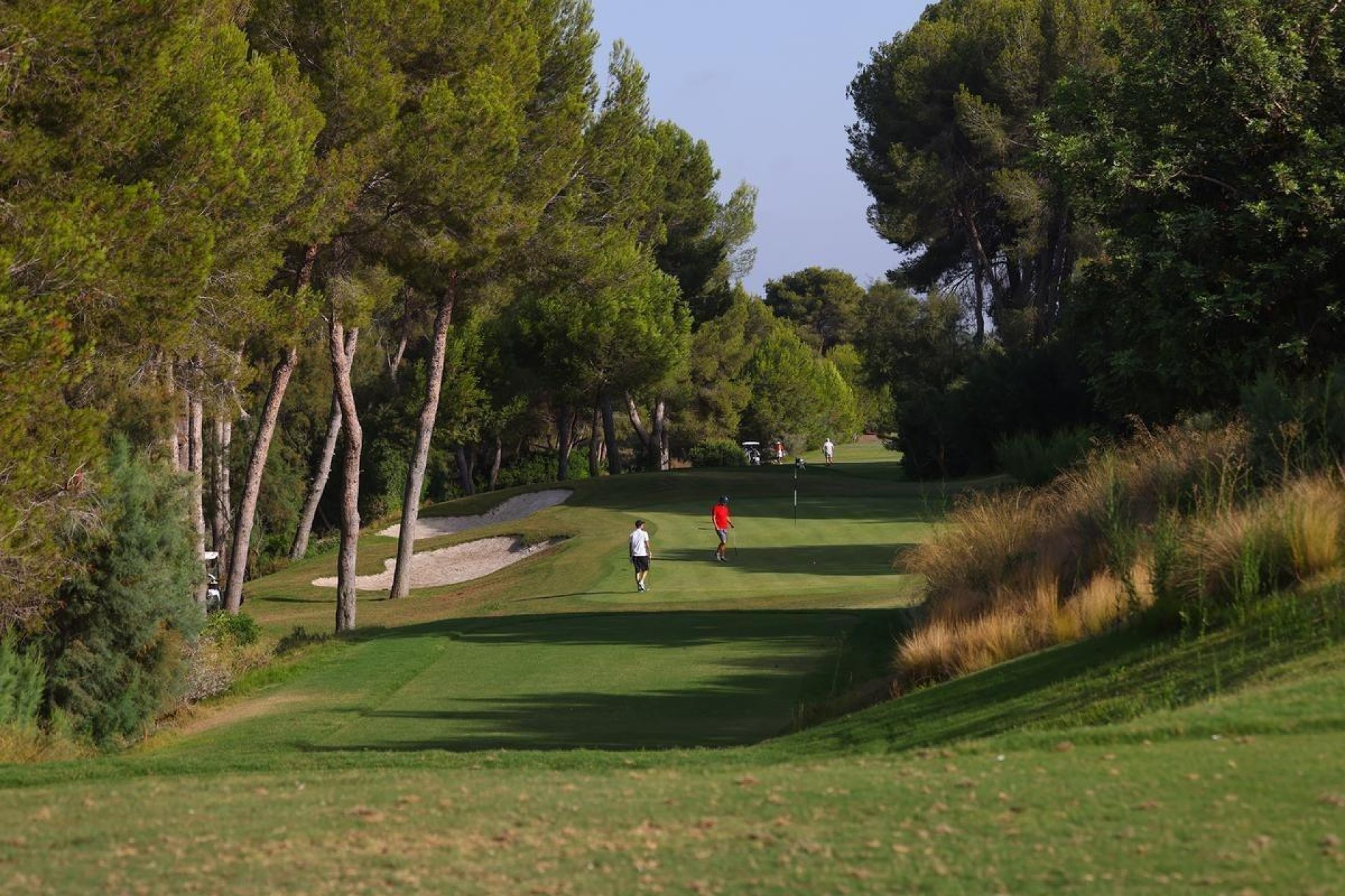 Obra nueva - Villa -
Orihuela Costa - Las Colinas Golf