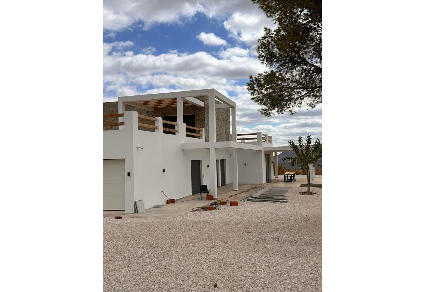 Obra nueva - Villa -
Pinoso - Casas Pastor