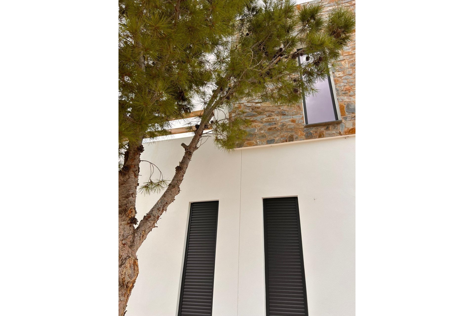Obra nueva - Villa -
Pinoso - Casas Pastor