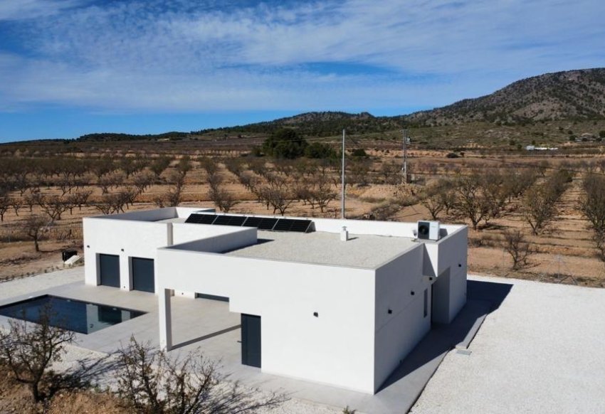 Obra nueva - Villa -
Pinoso - Lel