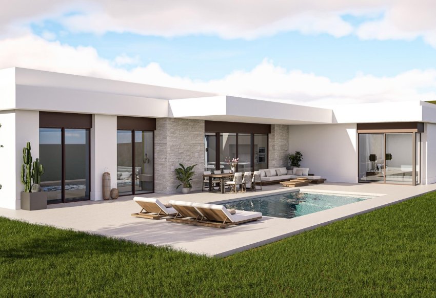 Obra nueva - Villa -
Pinoso - Lel