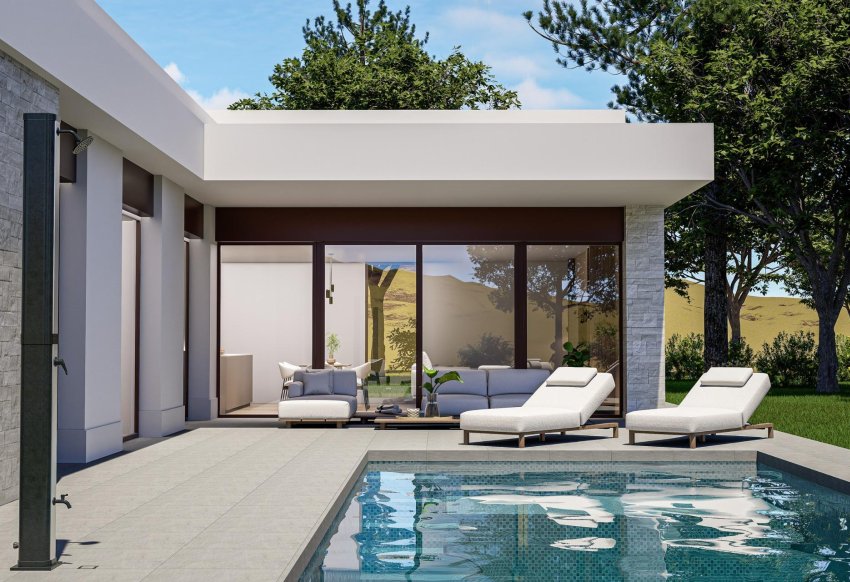 Obra nueva - Villa -
Pinoso - Lel