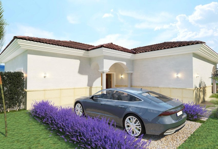 Obra nueva - Villa -
Pinoso - Rodriguillo