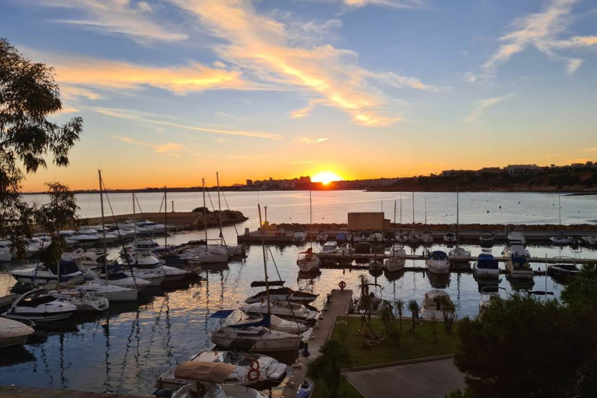 Resale - Apartment -
Campoamor