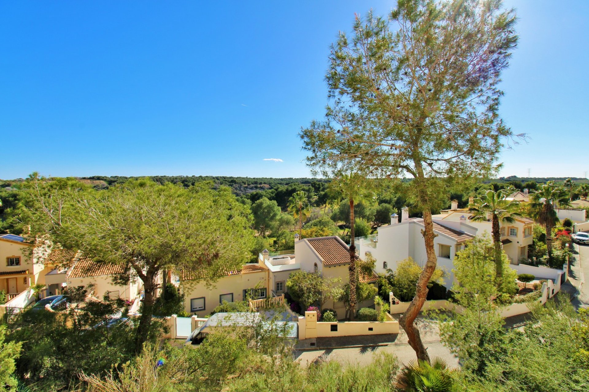 Resale - Apartment -
Las Ramblas